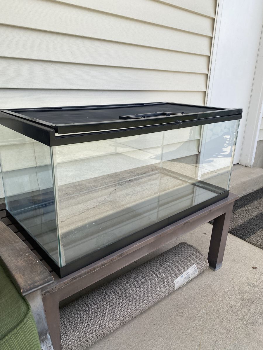 40 gallon reptile tank