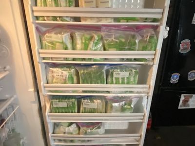 Frozen Breast Milk - Over 2000 oz Available