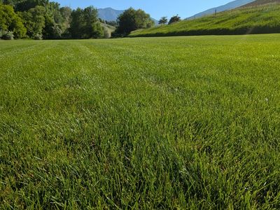 Adams Acres Sod Farm