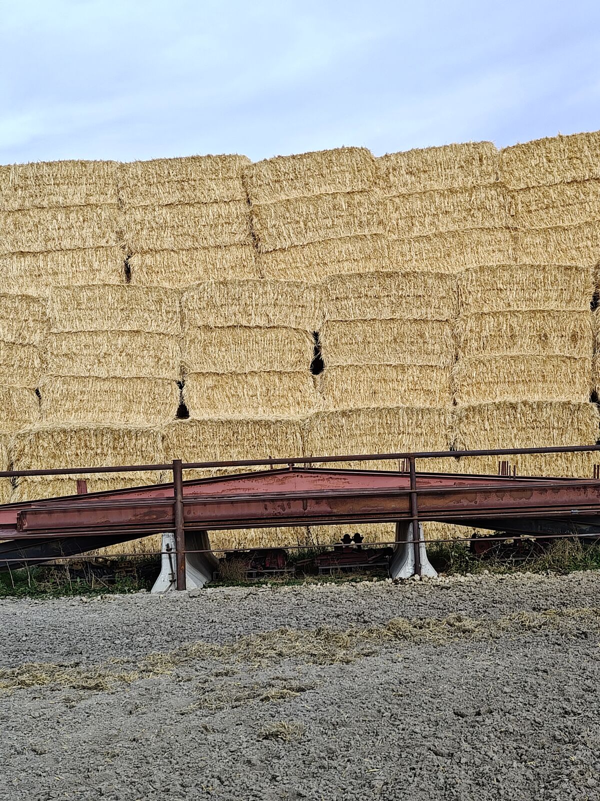 3x4x8 White Wheat Straw