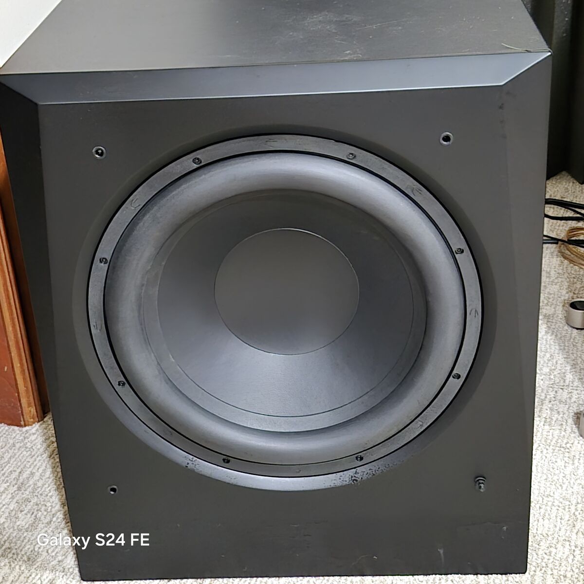 Big Ass 15" Subwoofer