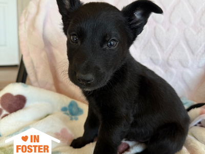 Hello my name is Q-bert