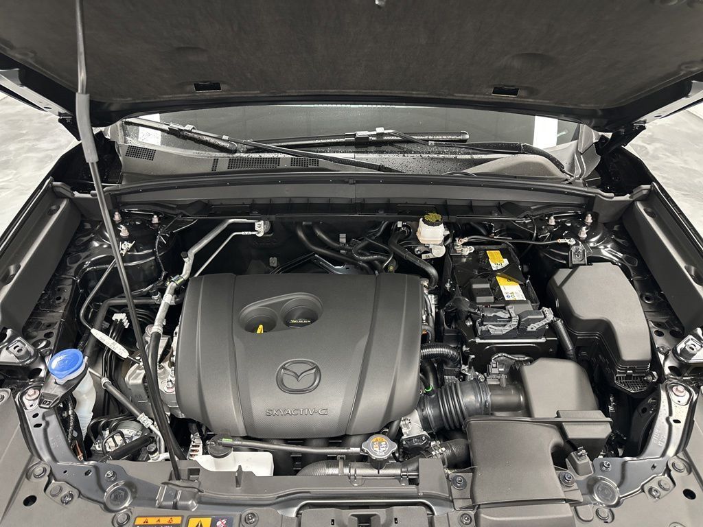Main image 3