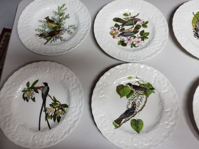 Birds of America Collector Plates