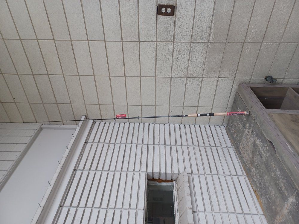 star rods spinning rod