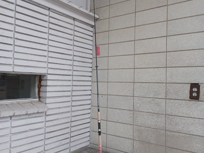 star rods spinning rod