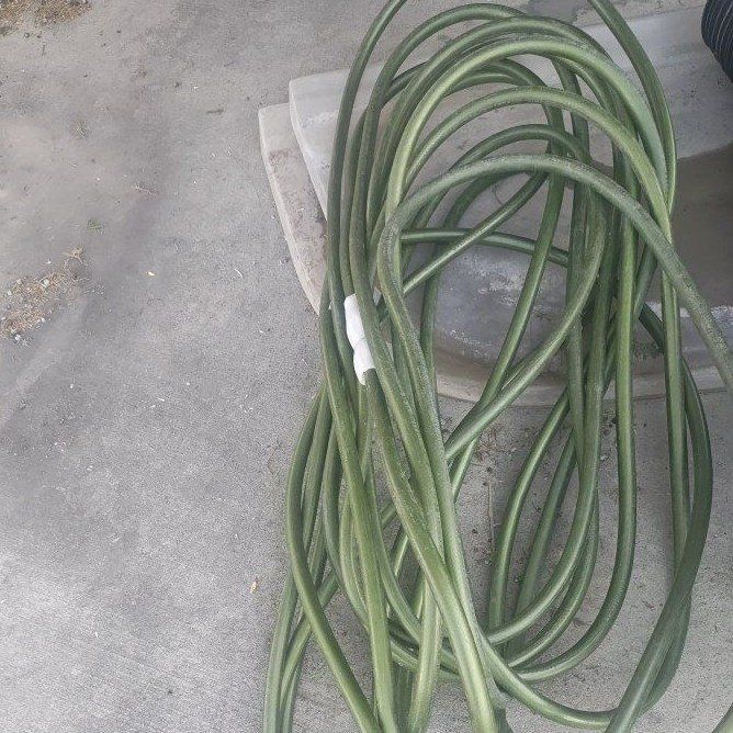 Costco 100 ft  garden hose