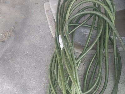 Costco 100 ft garden hose