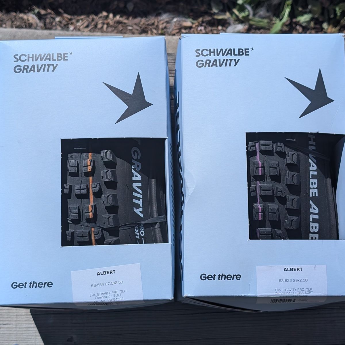 Schwalbe Radial Albert Gravity Pro Tires 29, 27.5