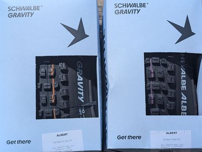 Schwalbe Radial Albert Gravity Pro Tires 29, 27.5