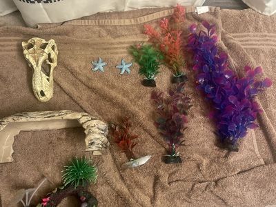 Assorted Aquarium Decorations & Hides - Plastic Plants, Skull, Cave