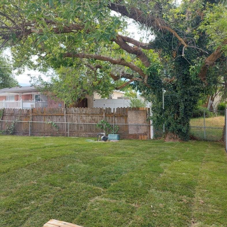 Main image 19