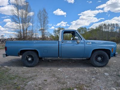 1980 Chevrolet C20