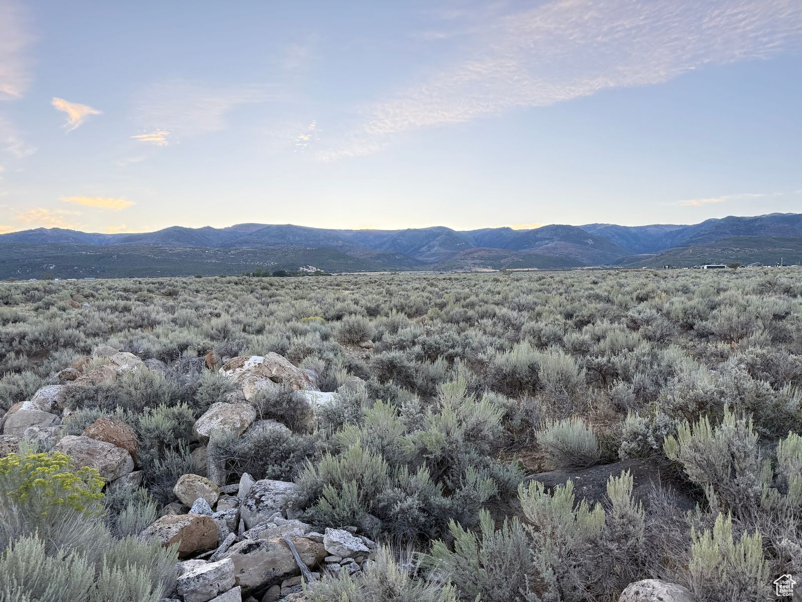 Main image 6