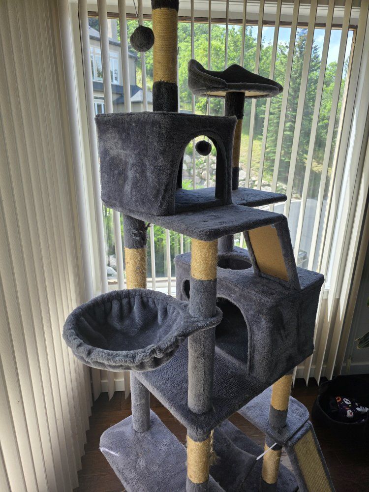 Main image 2