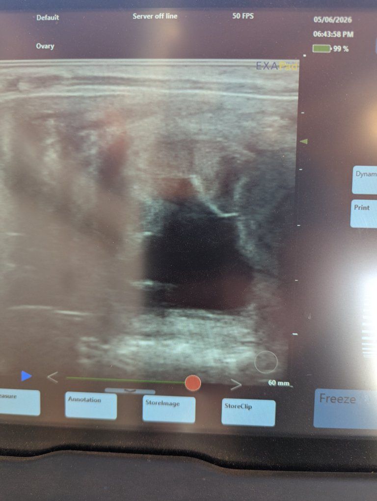 Main image 10