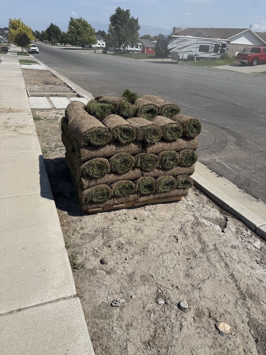 Free sod