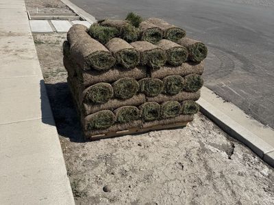 Free sod