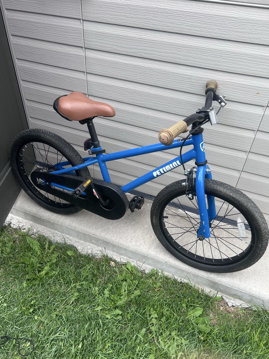 Petimini 18” bike