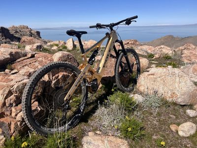 POLE VOIMA EMTB