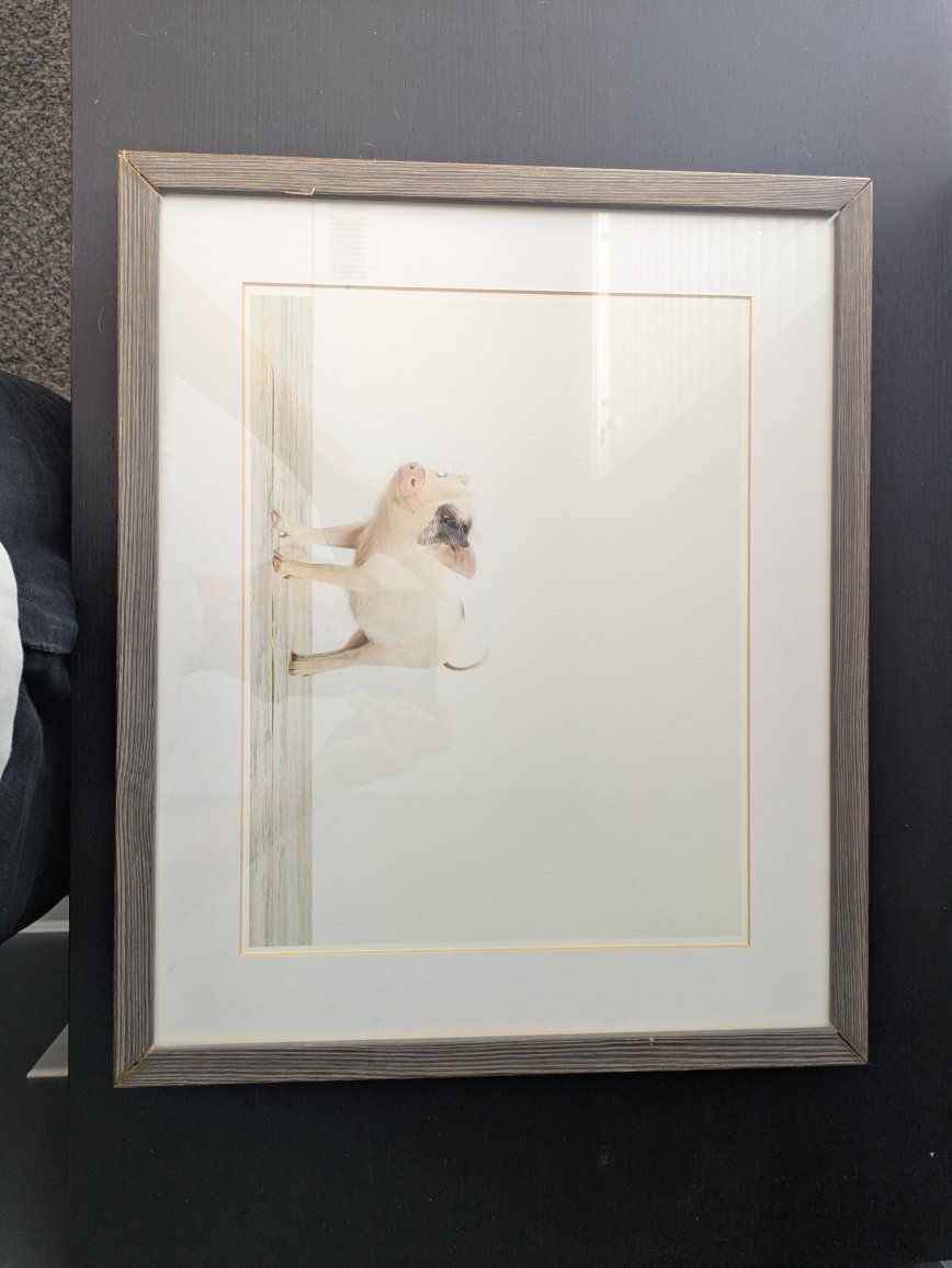 restoration hardware rh kids framed photography