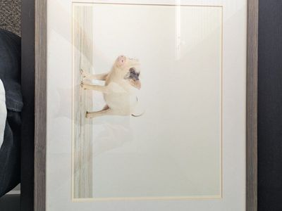 restoration hardware rh kids framed photography