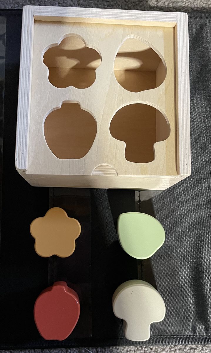 Wooden Shape Sorter Toy - Mushroom, Flower, Apple, Leaf - Educational Baby & Toddler Fun