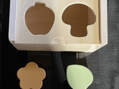 Wooden Shape Sorter Toy - Mushroom, Flower, Apple, Leaf - Educational Baby & Toddler Fun