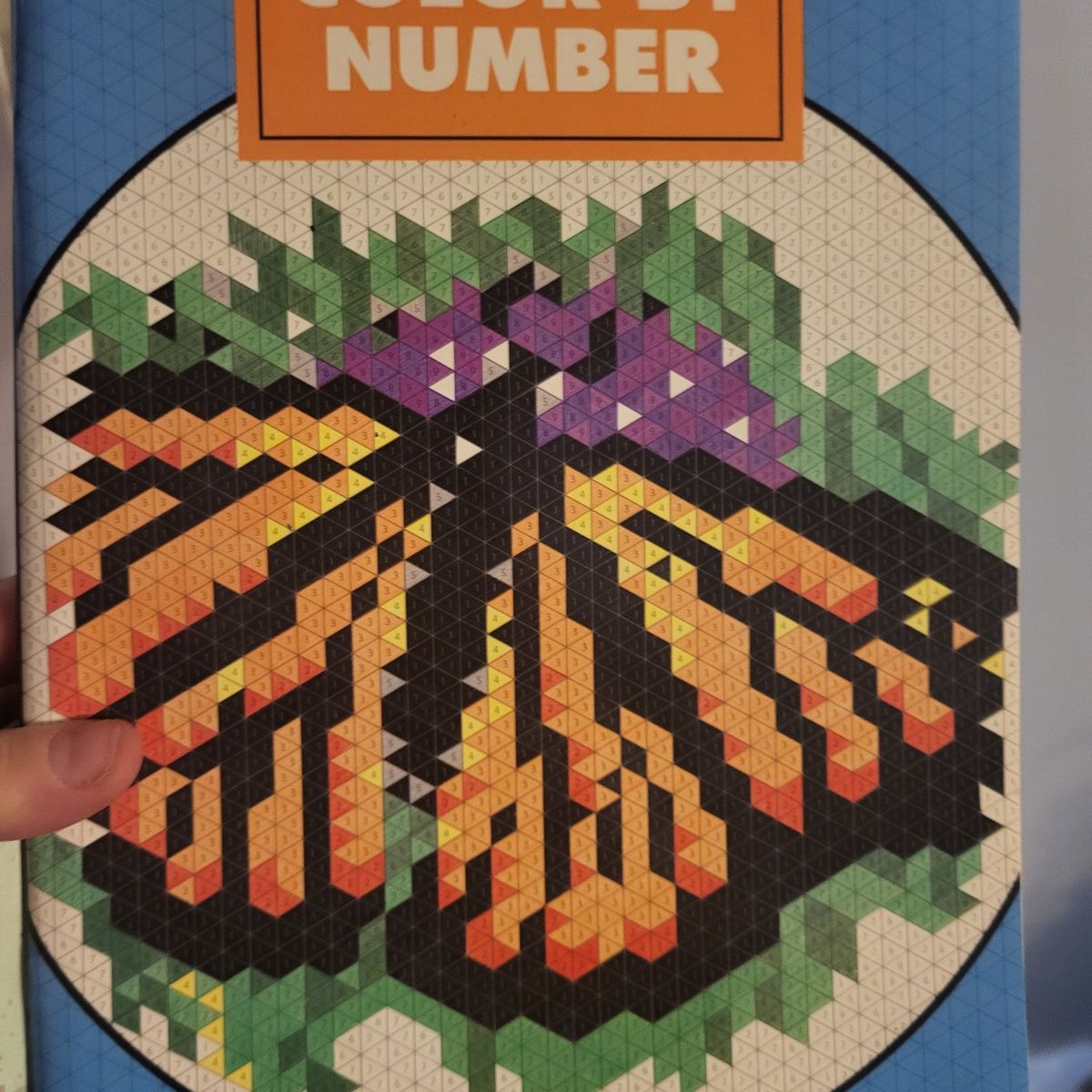 Adult Color by Number Coloring Book