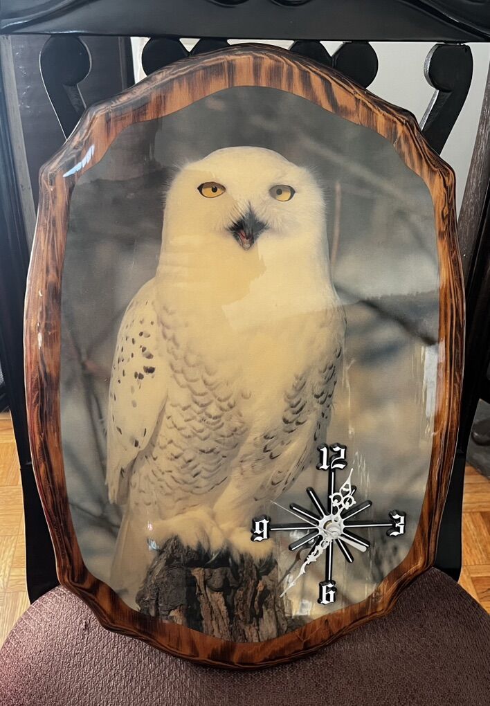 Vintage White Owl Picture Clock
