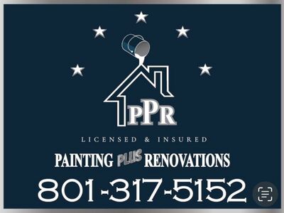 Professional Skilled Painter