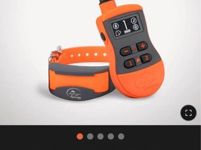 SportDog Collar