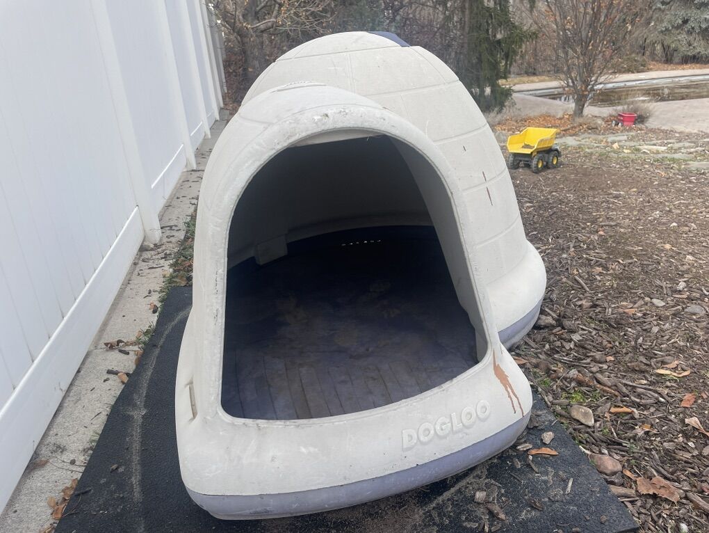 Dog Igloo XL