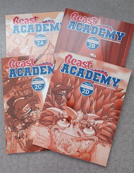 Beast Academy Math Practice 2A, 2B, 2C, 2D - Full Set Grade 2 Math Curriculum (practice books only)