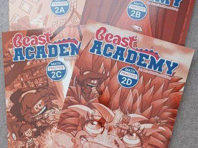 Beast Academy Math Practice 2A, 2B, 2C, 2D - Full Set Grade 2 Math Curriculum (practice books only)