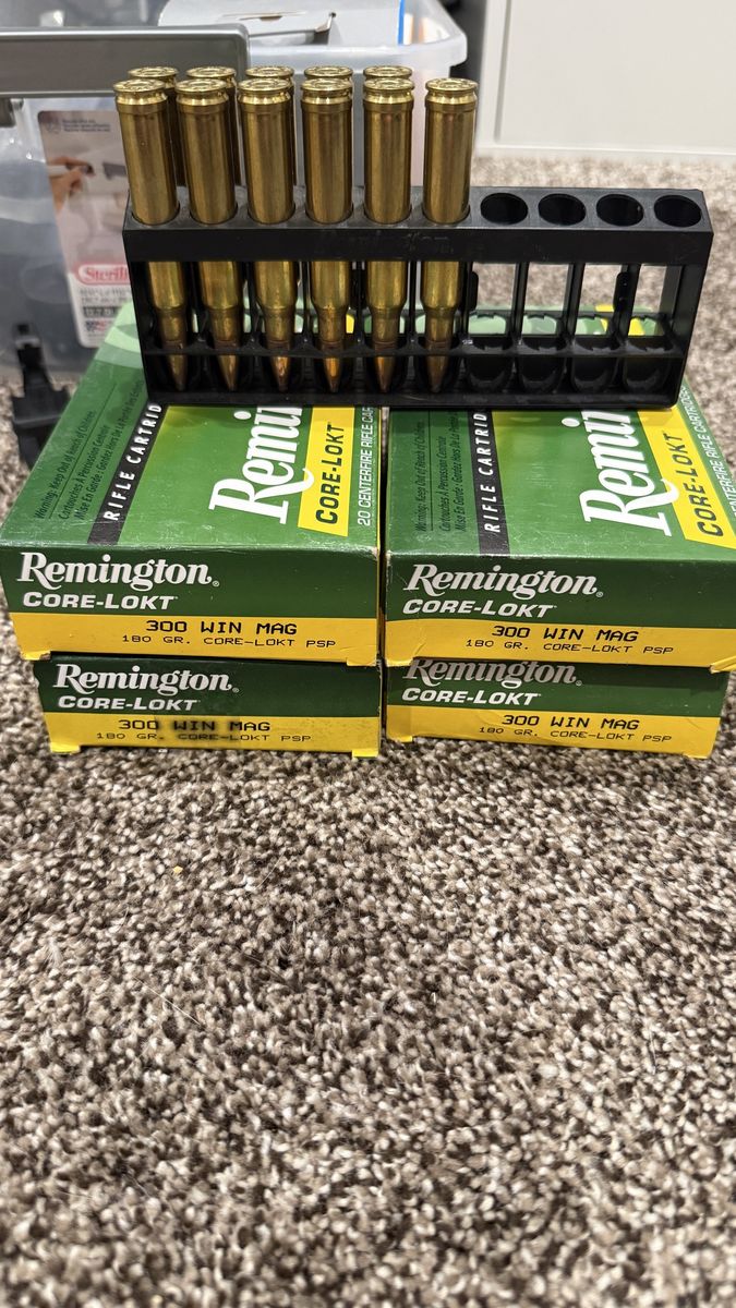 Remington Core-Lokt .300 Win Mag 180 grain.