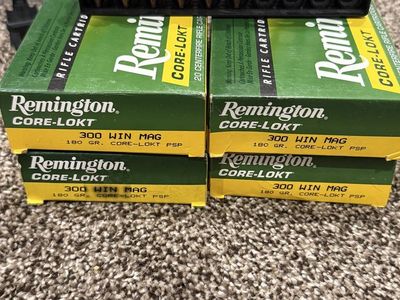 Remington Core-Lokt .300 Win Mag 180 grain.