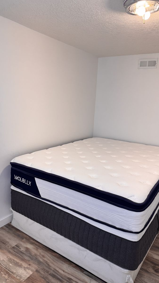 Molblly Queen Mattress, Spring Memory Foam Hybrid,