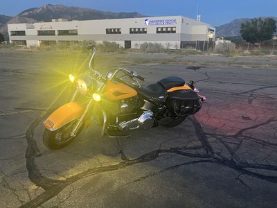 2000 Harley heritage softail