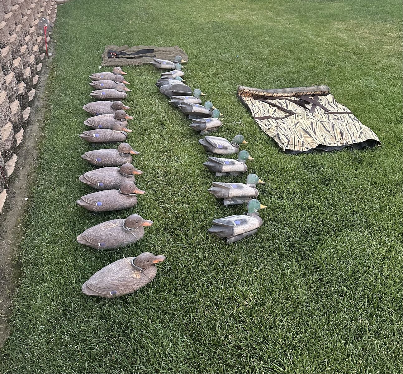 Duck Decoys w/2 Browning carry bags!