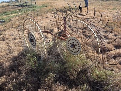 Hay rake