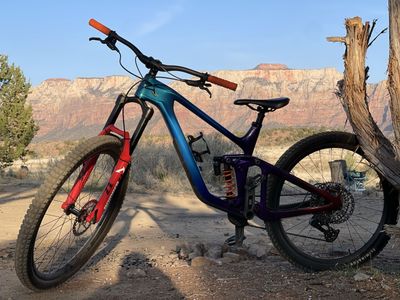 2024 Giant Reign Advanced