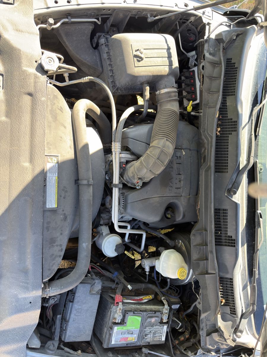 Main image 7
