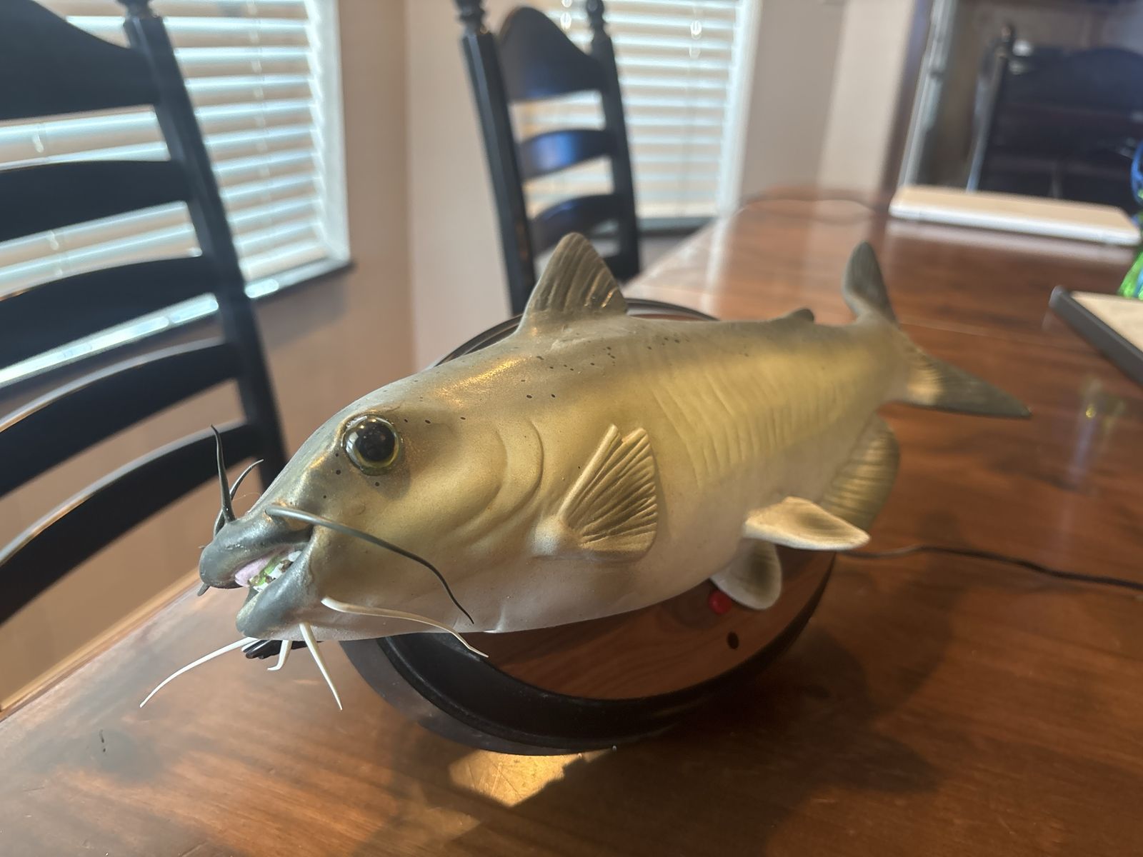 Talking and moving catfish