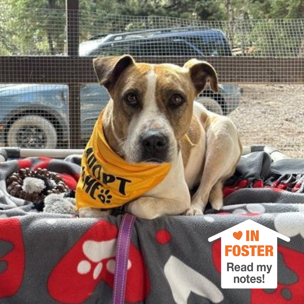 Hello my name is Morrisey