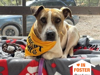 Hello my name is Morrisey