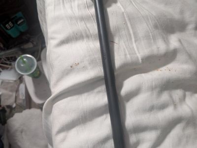 Unique Sugar Skull Cane/Walking Stick - Halloween Prop or Decorative Piece