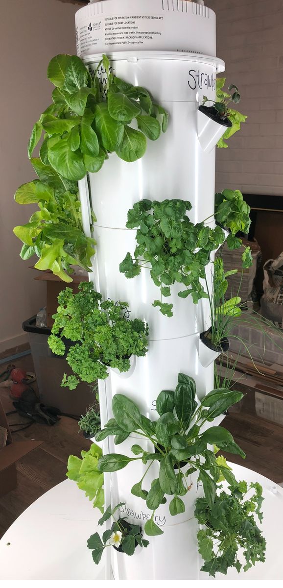 Tower Garden