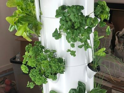 Tower Garden