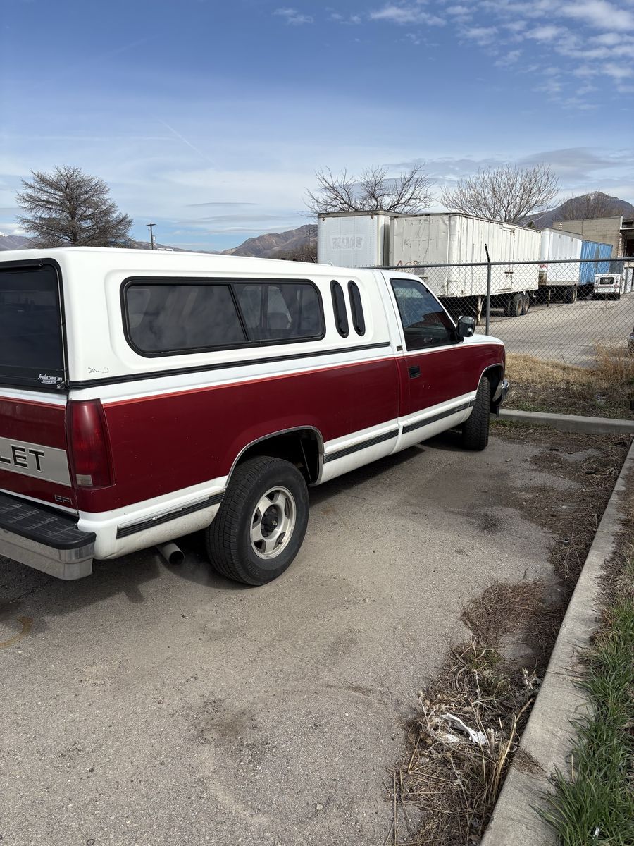 Camper shell